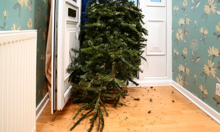 how to dispose of Christmas trees